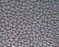 Rambler Print Leather